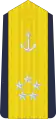 Admiral of the fleet (Thủy sư Đô đốc; 1964–1975)