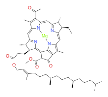 bacteriochlorophyll a