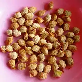 Ripe fruit dried seeds