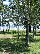 Route 138, picnic area, beach, gulf of St Lawrence