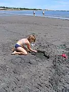 Beach, gulf of St Lawrence