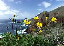 The Pacific coast of Ensenada Municipality