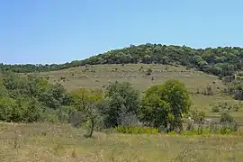 Layers of rock at Doeskin Ranch