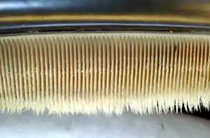 Photo displaying dozens of baleen plates: The plates face each other, and are evenly spaced at approximately 0.25 in (6.4 mm) intervals. The plates are attached to the jaw at the top, and have hairs at the bottom end.