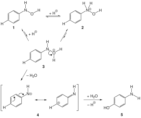 The mechanism of the Bamberger rearrangement