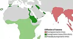 Map stating that banana cultivation occurred in pre-Islamic times in India and Southeast Asia, during the 700–1500 CE "Islamic period" along the Nile River and in Mesopotamia and Palestine, and less-certainly in sub-Saharan Africa during that same period