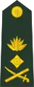 Lieutenant generalলেফটেন্যান্ট জেনারেল(Bangladesh Army)