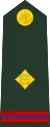 Warrant officer(Bengali: ওয়ারেন্ট অফিসার, romanized: Ōẏārēnṭa aphisāra)(Bangladesh Army)