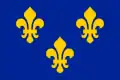 The Royal Banner of France or "Bourbon Flag".