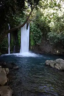 Banias spring