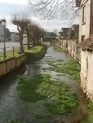 The Barse river in Vendeuvre-sur-Barse