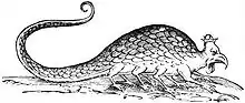 Basilisk from Serpentum, et draconum historiae libri duo (1640)