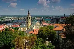 Przemyśl Cathedral with the city in the background