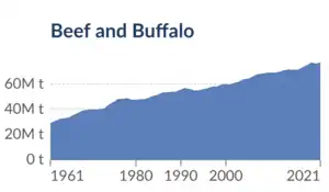 Beef (and buffalo meat) production has grown substantially over the recent 60 years.