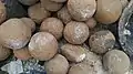 Cannonballs kept at Bekal fort