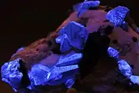 Benitoite crystals under UV light