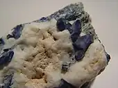 A rough rock showing several intense, dark blue benitoite crystals emerging from white natrolite matrix.