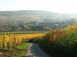 A general view of Bergbieten