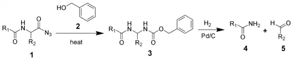 The Bergmann degradation