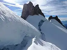 Rocky peaks protruding from undulating  ice masses