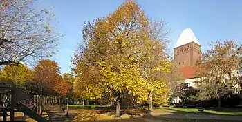 View of Köllnischer Park in Berlin-Mitte with the Märkisches Museum in the background