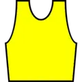 Yellow Bib of the World Cup Leader