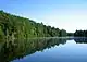 Pond mirroring green trees