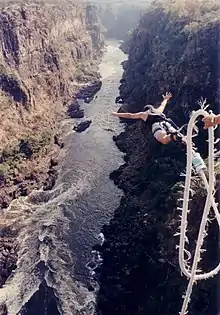 Bungee jumping off the Victoria Falls Bridge