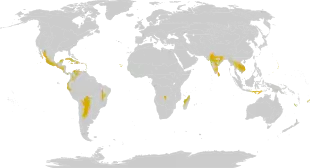 dry forest regions