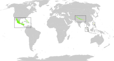 coniferous forest regions