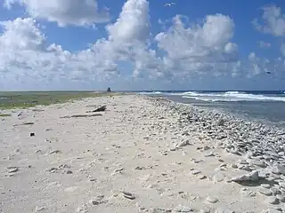 Birnie Island. Day beacon in background