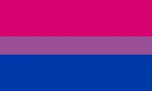 Bisexual flag of three solid horizontal bars two fifths pink, one fifth purple, and two fifths blue.