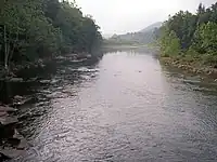 The Black Fork at Hendricks, as viewed downstream