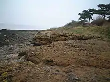 Rocky shoreline.