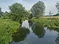 Blackwater and Chelmer Canal