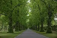 The entrance avenue to Blair Castle.