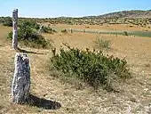 Part of the Rigalderie stone circle in Blandas