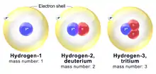 Diagram showing the structure of each of Hydrogen-1 (mass number 1, 1 electron, 1 proton), Hydrogen-2 or deuterium (mass number 2, 1 electron, 1 proton, 1 neutron), and Hydrogen-3 or tritium (mass number 3, 1 electron, 1 proton, 2 neutrons)