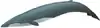 Blue whale illustration with a dark blue tail, a slightly lighter shade of blue overall, and a small dorsal fin close to the tail