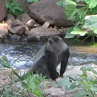 Lake Manyara National Park, Tanzania