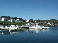 Boats in Dildo harbour