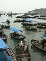 Fishers' boats on bay