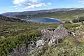 Rocky Valley Storage dam just southeast of Falls Creek.