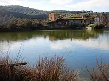 A lake surrounded by grasses and bushes, with an abandoned village overgrown with vegetation.