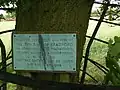 Commemorative plaque on the third generation oak planted in 1951.