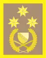 General pukovnik(Bosnian Ground Forces)