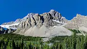 A view of Bow Lake and Crowfoot Mountain