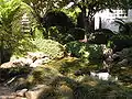 The Japanese garden