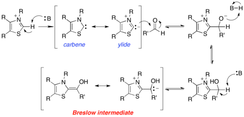 Scheme 2. Formation of the Breslow intermediate