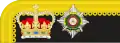 1867 to 1880 colonel's collar rank insignia